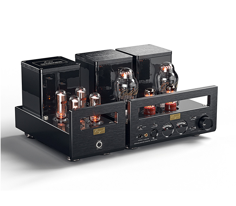 Cayin Audio C9 BLACK & 交換用バッテリー/充電器 - オーディオ機器