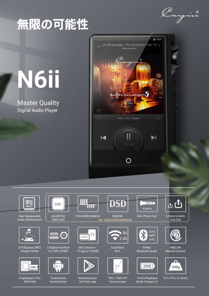 Cayin N6ii/A01発売開始のお知らせ